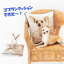 アトム君と優勝商品Photorea