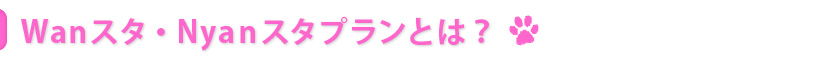 Wanスタ・Nyanスタスタプランについて