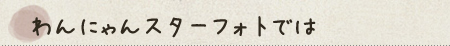 わんにゃんスターフォトでは